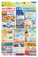 page 1 thumbnail