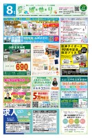 page 1 thumbnail